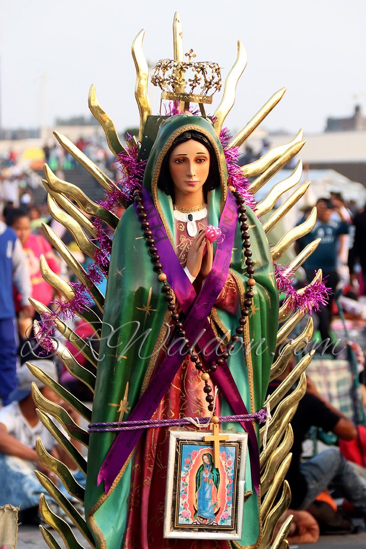 The Virgin of Guadalupe (c) brwaldon