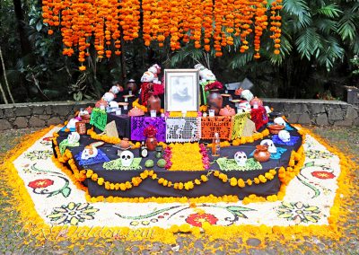 A tapete made of carefully laid natural materials surrounds an ofrenda in Michoacan