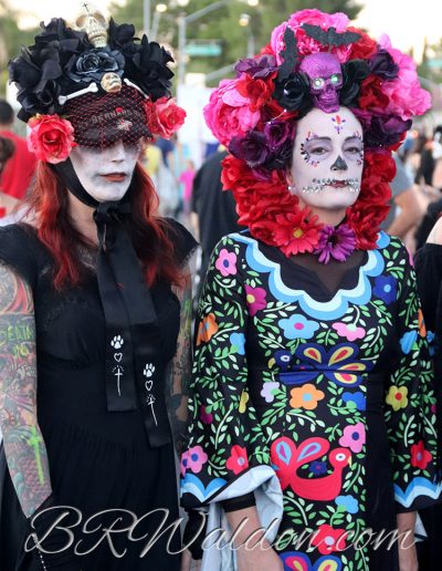 Somber but colorful in the Tucson All Souls procession