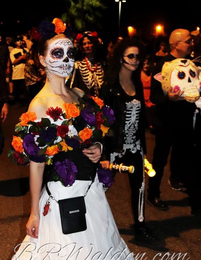 Walking in the Tucson All Souls procession